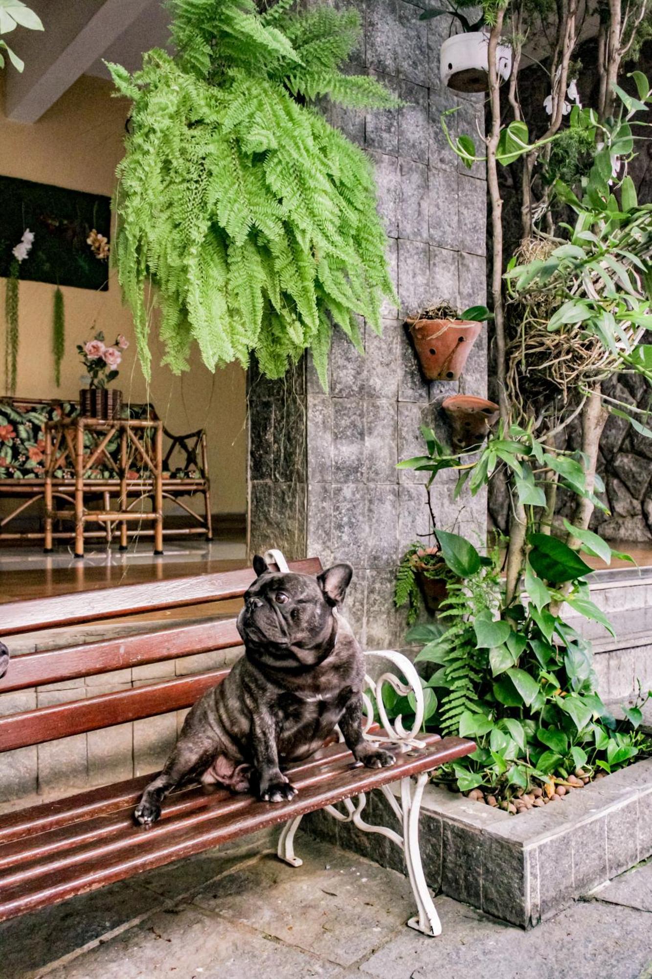 Hotel Primavera Betim Buitenkant foto